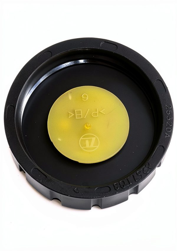 LEPTWORLD Black Plastic Car Modern Brake Fluid Reservoir-2